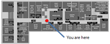 you are here